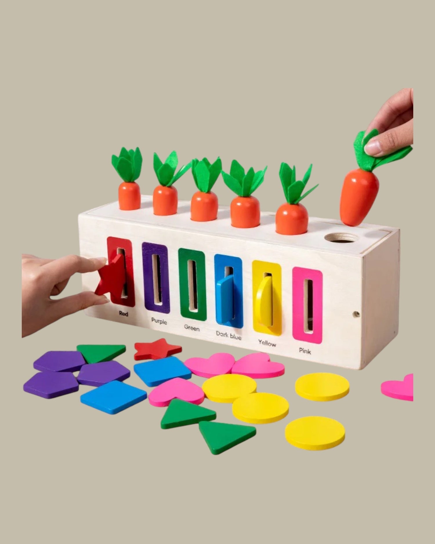 Toys & Accessories - Les Pas De Bébé