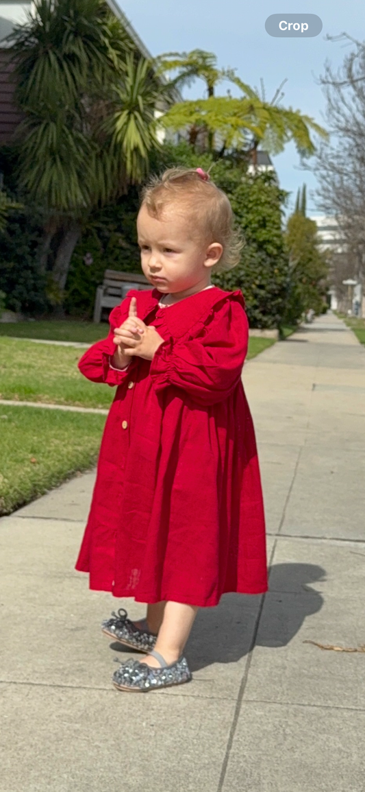Miss Red Baby Dress